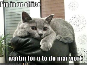 I'm in ur office  waitin for u to do mai work