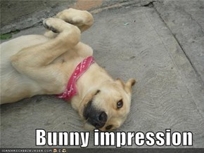 Bunny impression