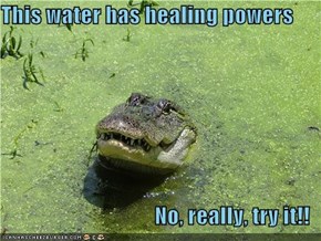 This water has healing powers  No, really, try it!!