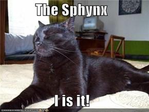 The Sphynx  I is it!
