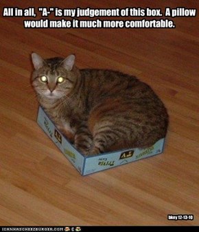All in all,  "A-" is my judgement of this box.  A pillow would make it much more comfortable.