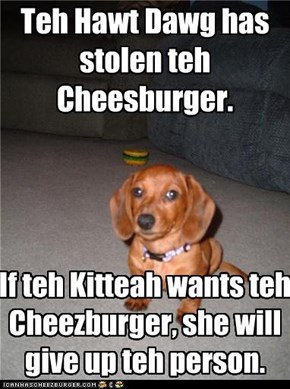 Teh Hawt Dawg has stolen teh Cheesburger.