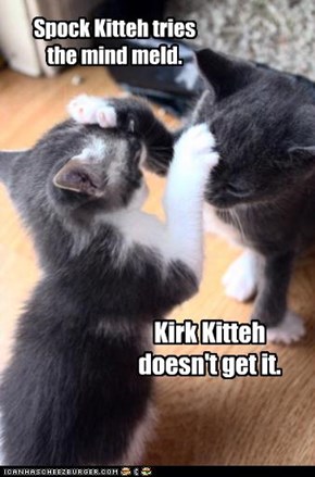 Spock Kitteh tries the mind meld.