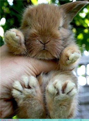 Bunday: Big Foot 