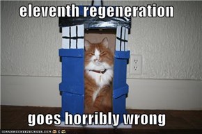 eleventh regeneration  goes horribly wrong