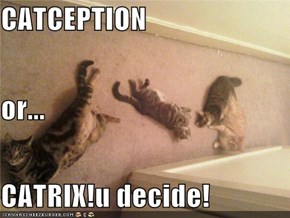 CATCEPTION or... CATRIX!u decide!