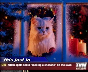 this just in - Kitteh spots santa "making a snocone" on the lawn