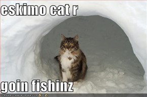 eskimo cat r  goin fishinz