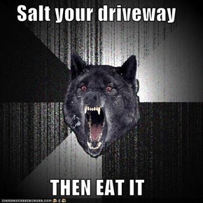 Salt your driveway  THEN EAT IT