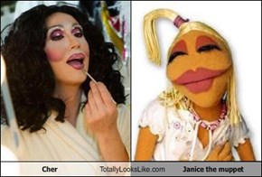 Cher Totally Looks Like Janice the muppet