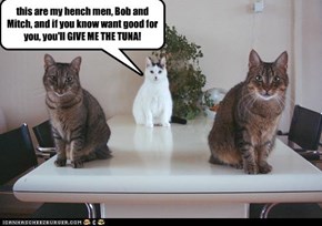 this are my hench men, Bob and Mitch, and if you know want good for you, you'll GIVE ME THE TUNA!