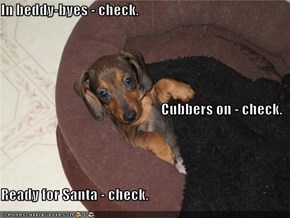 In beddy-byes - check. Cubbers on - check. Ready for Santa - check.