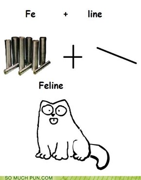 What's your cat made of?