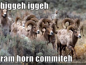 biggeh iggeh  ram horn commiteh