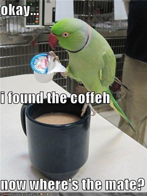 okay... i found the coffeh now where's the mate?