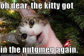 oh dear, the kitty got  in the nutgmeg again.