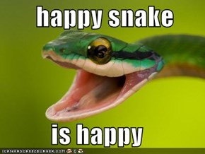 happy snake            is happy