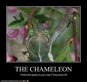 THE CHAMELEON