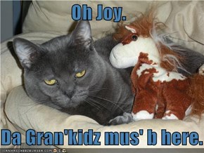Oh Joy.  Da Gran'kidz mus' b here.