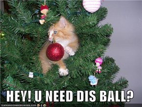HEY! U NEED DIS BALL?