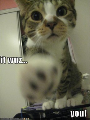 it wuz... you!