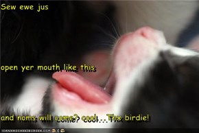 Sew ewe jus  open yer mouth like this and noms will come? cool...Thx birdie!