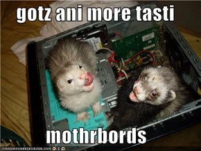 gotz ani more tasti  mothrbords