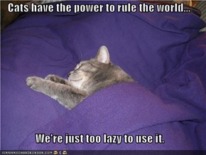 Cats have the power to rule the world...  We're just too lazy to use it.