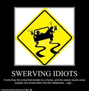 SWERVING IDIOTS