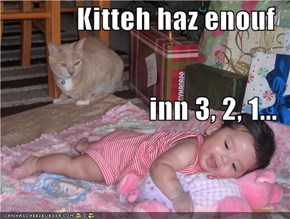Kitteh haz enouf inn 3, 2, 1...