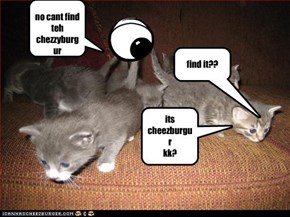 eye and kitteh 1:the hunt for cheezburger