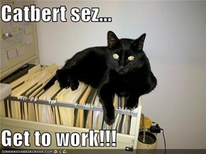 Catbert sez...  Get to work!!!