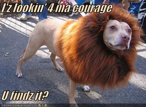I'z lookin' 4 ma courage  U findz it?