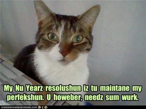 My  Nu  Yearz  resolushun