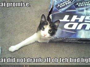 ai promise.  ai did not drank all ob teh bud light!