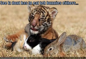 See Iz dont has to eat teh bunnies eithers...