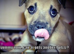 yummy nom. can ai gets anober? plzzz?