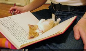 Cyoot Kitteh of teh Day: Deer Diary, ZZZZZZ...