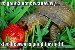 I's gonna eat stwabewwy....  stwabewwy is good for meh!