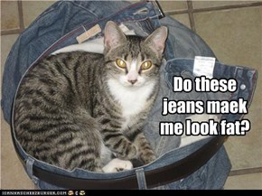 Do these jeans maek me look fat?