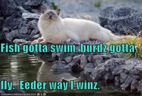 Fish gotta swim, burdz gotta  fly.  Eeder way I winz.