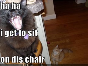 ha ha i get to sit on dis chair
