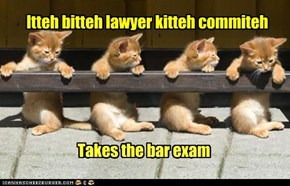 Itteh bitteh lawyer kitteh commiteh