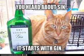 YOU HEARD ABOUT SIN...