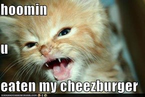 hoomin u eaten my cheezburger