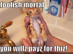 foolish mortal  you willz payz for thiz!