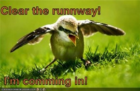 Clear the runnway!   I'm comming in!