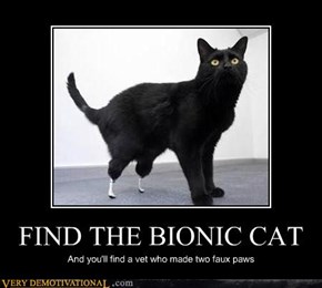 FIND THE BIONIC CAT