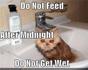 Do Not Feed  After Midnight Do Not Get Wet