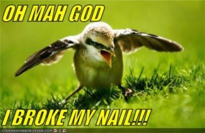 OH MAH GOD  I BROKE MY NAIL!!!